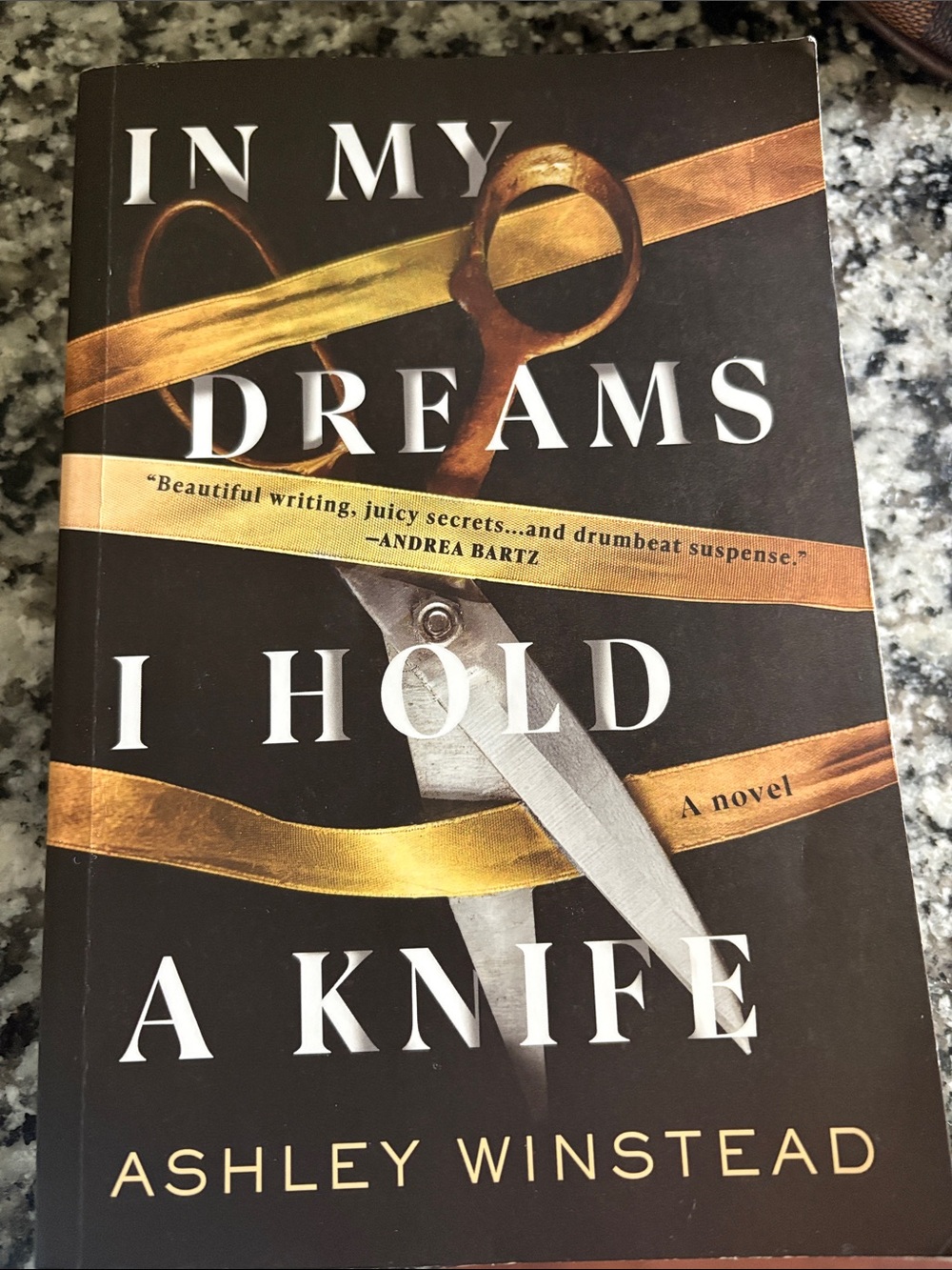 'In My Dreams I Hold a Knife' Paperback - Black & Gold Cover